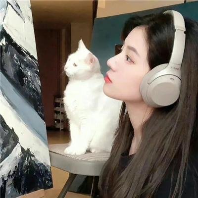 仙女教母